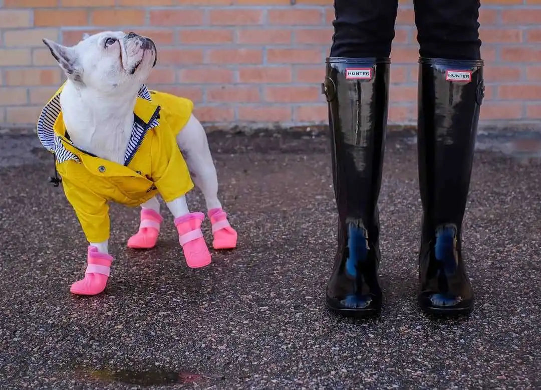 Pet Dog Clothes for Small Medium Dogs Waterproof Puppy Raincoat Fashion Cool Dog Jacket Coat Windproof Dogs Outfit Pet Supplie
