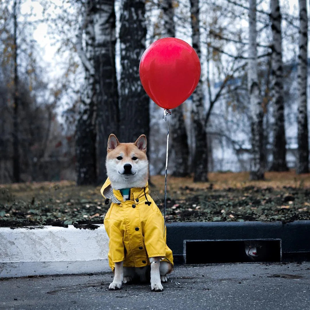 Pet Dog Clothes for Small Medium Dogs Waterproof Puppy Raincoat Fashion Cool Dog Jacket Coat Windproof Dogs Outfit Pet Supplie