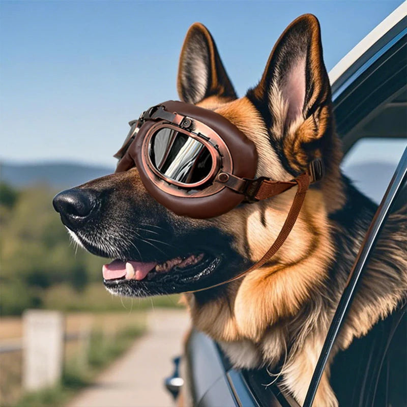 Pet Accessories Dog Outdoor UV Protection Sunglasses Cat Dog Goggles For Medium-Sized And Large Dogs Glasses Adjustable Straps