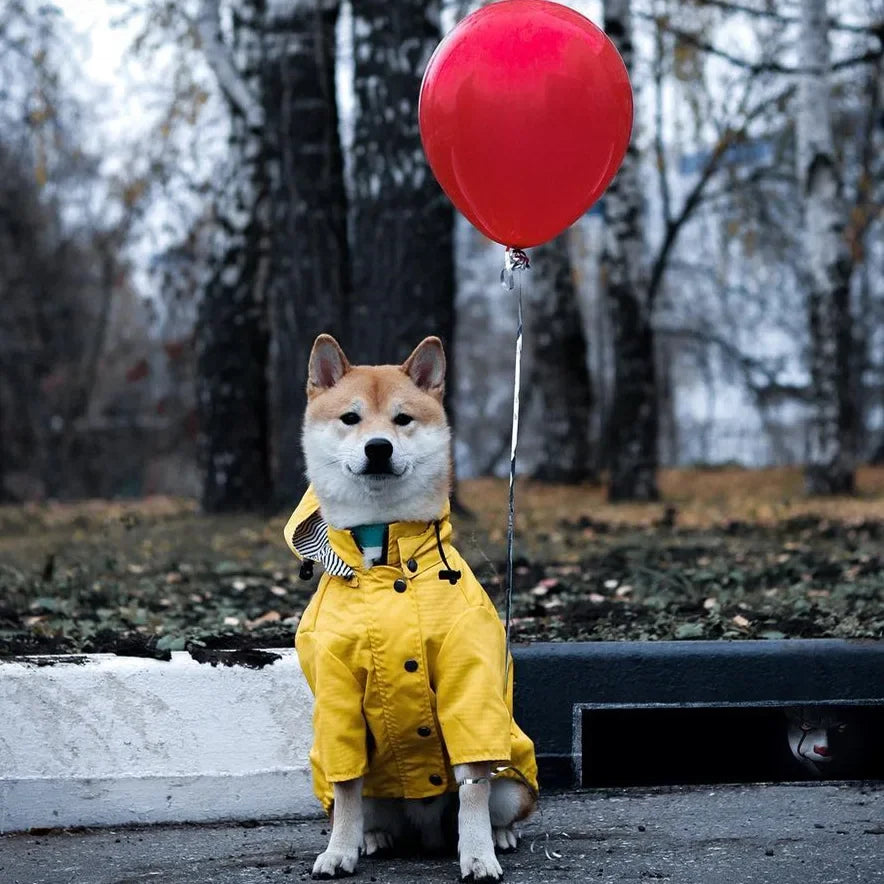 Pet Dog Clothes for Small Medium Dogs Waterproof Puppy Raincoat Fashion Cool Dog Jacket Coat Windproof Dogs Outfit Pet Supplie