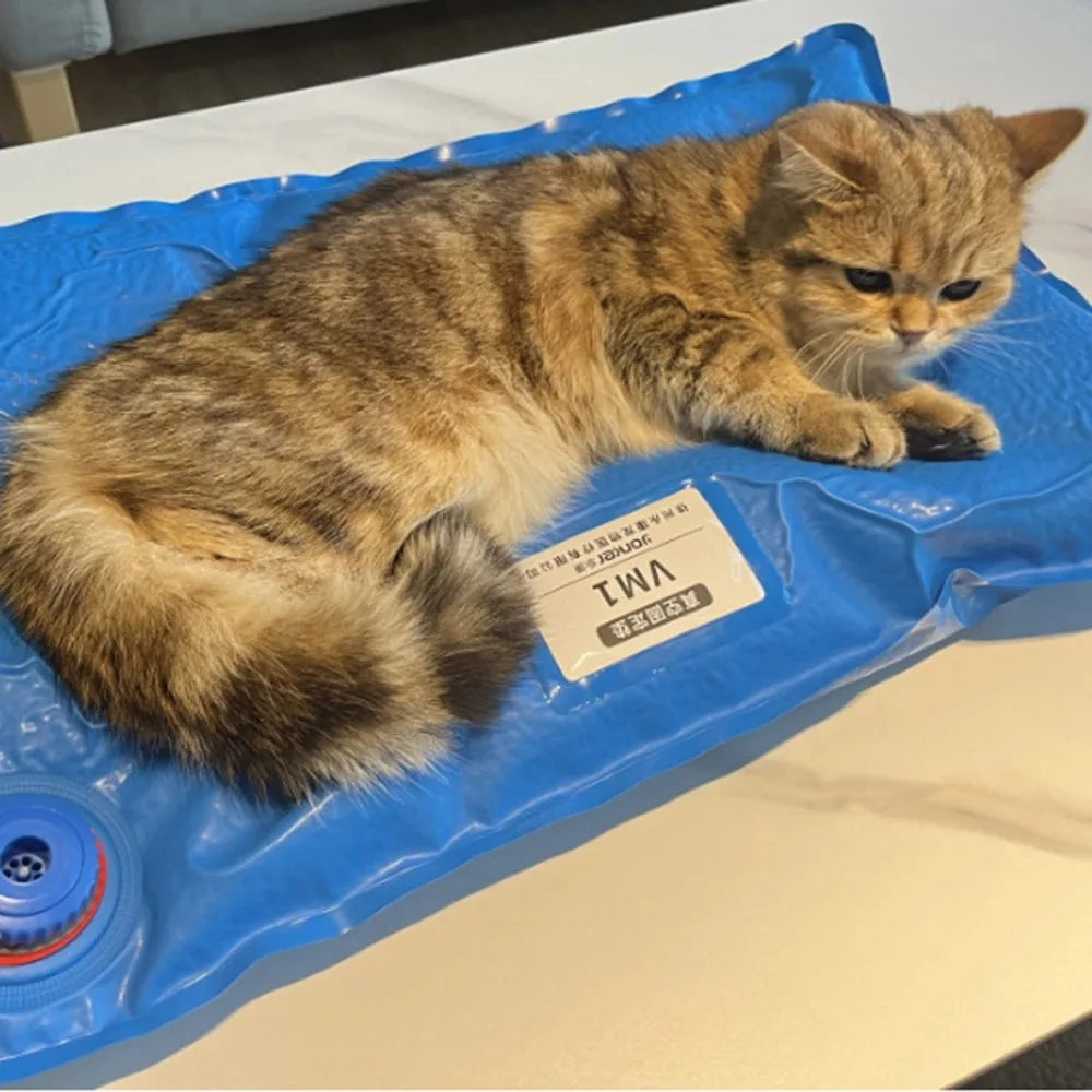 Animal Surgical Accessories Pet Vacuum Positioning Mat Small Veterinary Examination Pad Pet Care Room Cat And Dog Pet