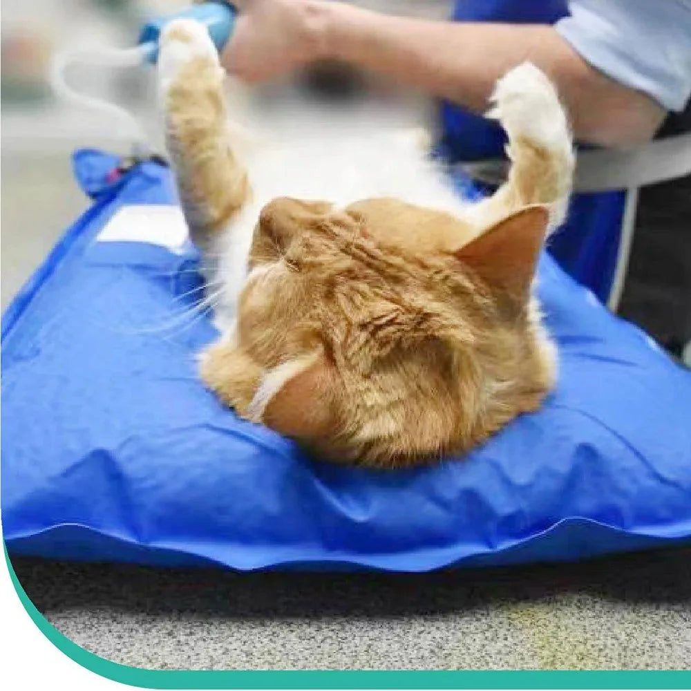 Animal Surgical Accessories Pet Vacuum Positioning Mat Small Veterinary Examination Pad Pet Care Room Cat And Dog Pet