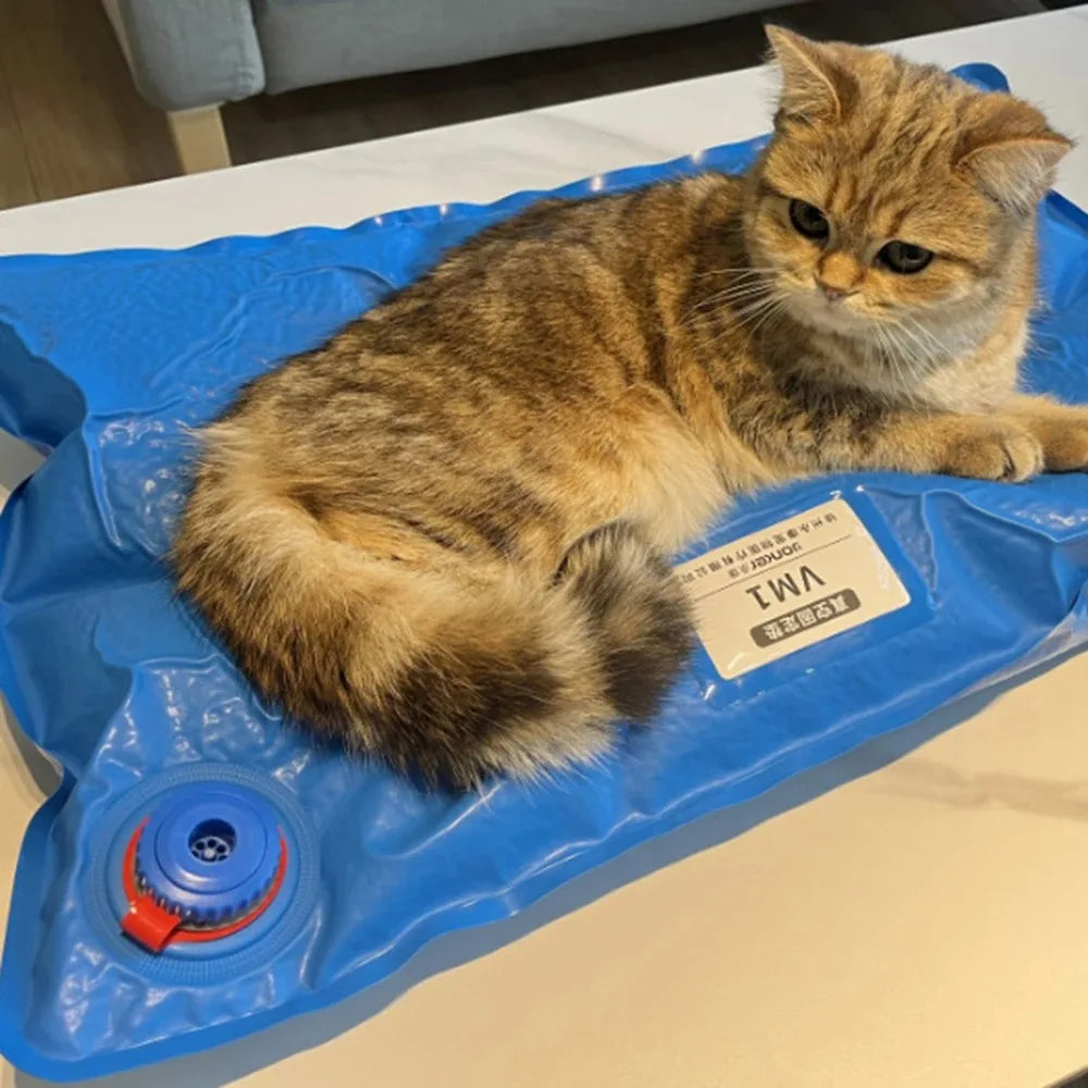 Animal Surgical Accessories Pet Vacuum Positioning Mat Small Veterinary Examination Pad Pet Care Room Cat And Dog Pet