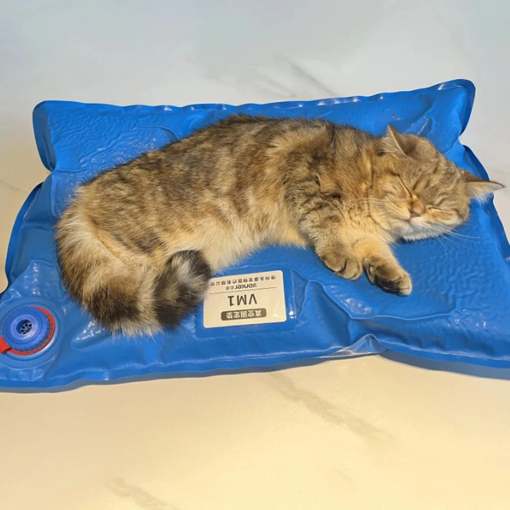 Animal Surgical Accessories Pet Vacuum Positioning Mat Small Veterinary Examination Pad Pet Care Room Cat And Dog Pet