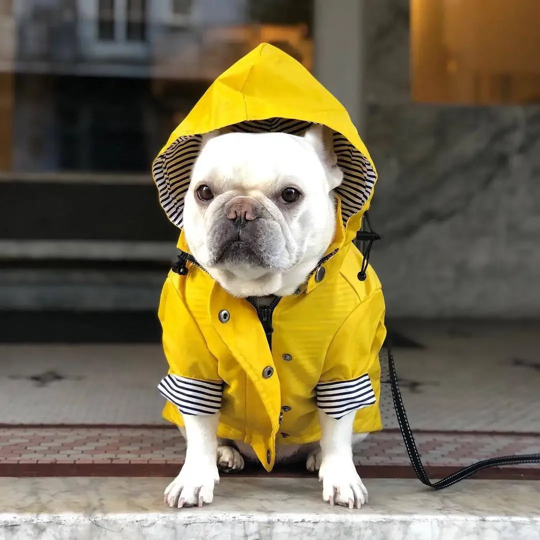 Pet Dog Clothes for Small Medium Dogs Waterproof Puppy Raincoat Fashion Cool Dog Jacket Coat Windproof Dogs Outfit Pet Supplie