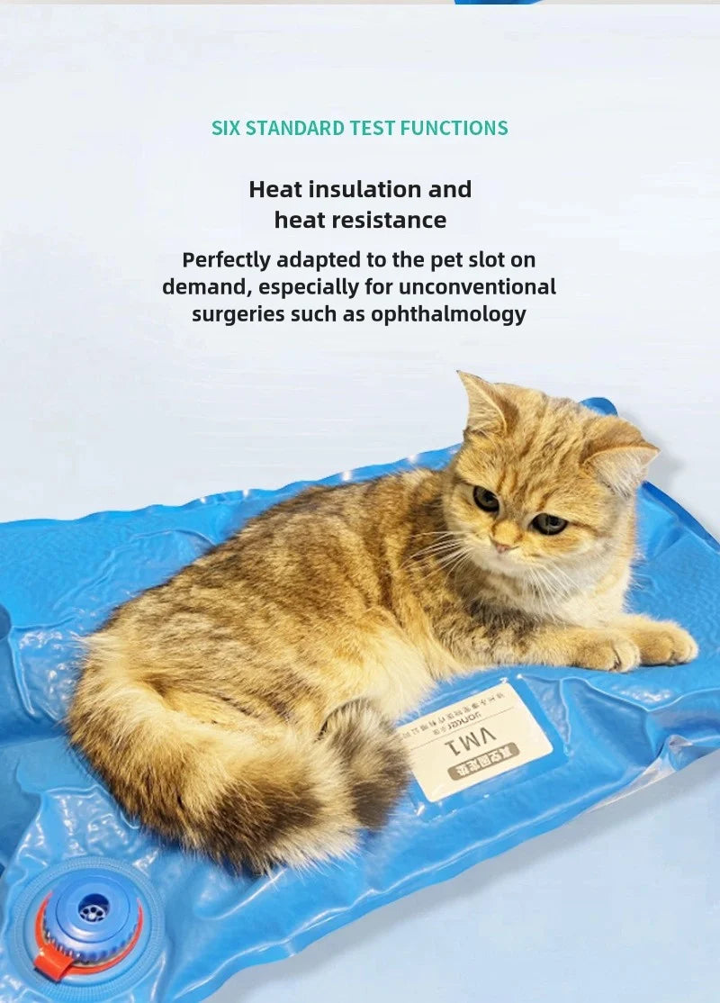 Animal Surgical Accessories Pet Vacuum Positioning Mat Small Veterinary Examination Pad Pet Care Room Cat And Dog Pet