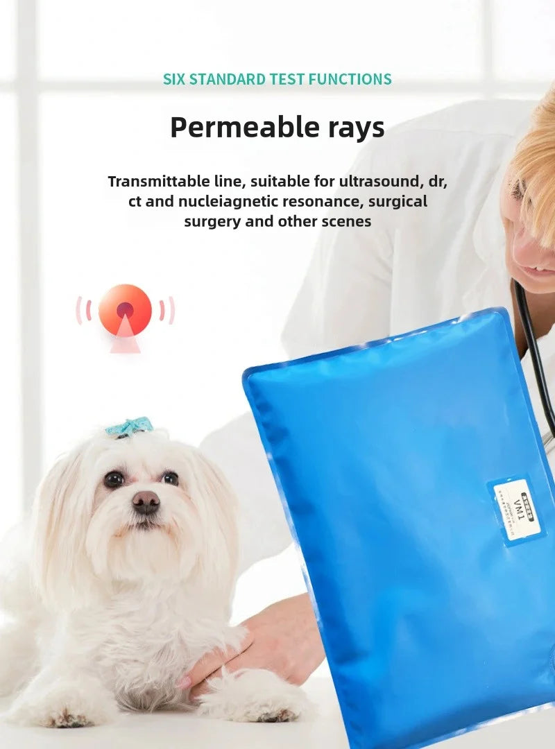 Animal Surgical Accessories Pet Vacuum Positioning Mat Small Veterinary Examination Pad Pet Care Room Cat And Dog Pet