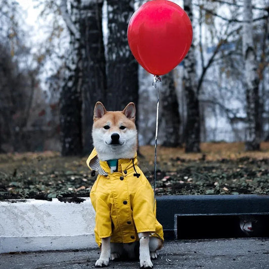 Pet Dog Clothes for Small Medium Dogs Waterproof Puppy Raincoat Fashion Cool Dog Jacket Coat Windproof Dogs Outfit Pet Supplie