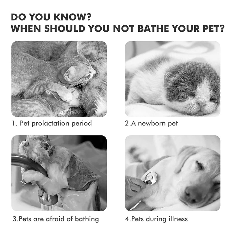 Pet hair dry cleaning brush pet cleaning and care agent to remove floating hair stains clean and make hair soft pet massager