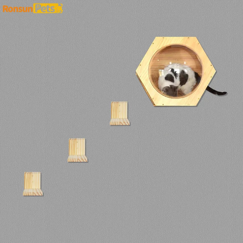Home Wall Mounted Cat Climbing Frame Solid Wood Hanging Cat Nest Combination Pet Frame Climbing Wall Capsule Animal Products
