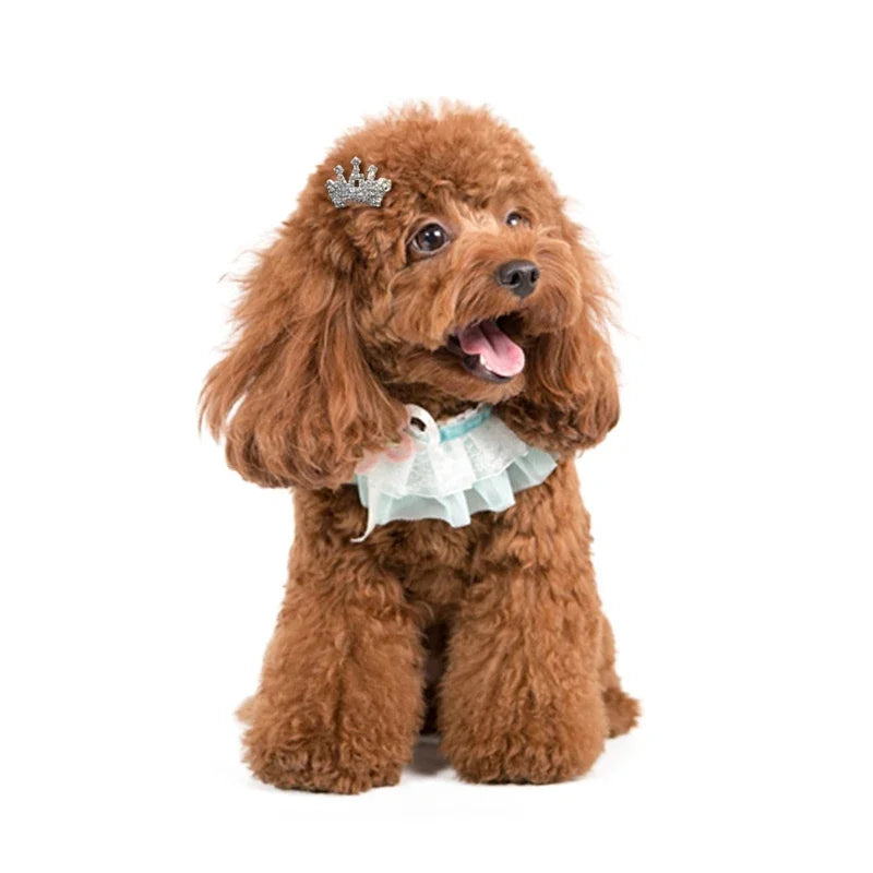 Pet Grooming Accessories for Dog and Cat - Puppy Beautiful Dog Hair Clip, Crown, Bow, Multicolor Hairpins, Headwear