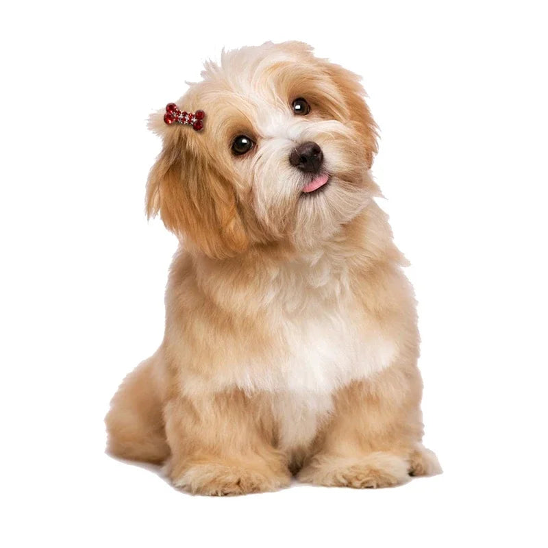 Pet Grooming Accessories for Dog and Cat - Puppy Beautiful Dog Hair Clip, Crown, Bow, Multicolor Hairpins, Headwear