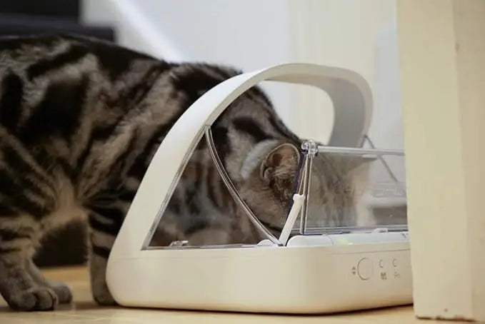 Microchip Pet Feeder - Selective-Automatic Pet Feeder Makes Meal Times Stress-Free, Suitable for Both Wet and Dry Food - MPF001